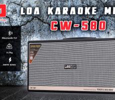 Loa Karaoke xách tay JA CW580